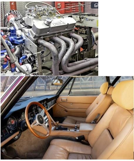 Caution: Amphibian Crossing