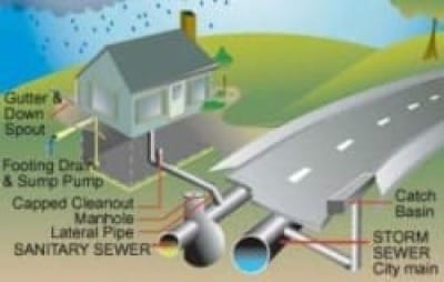 Caution: Amphibian Crossing