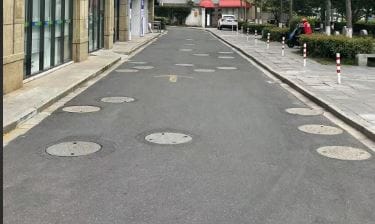 Caution: Amphibian Crossing