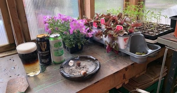 Inexpensive Hobbies